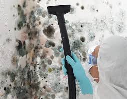 Best Basement Mold Removal in Nice, CA